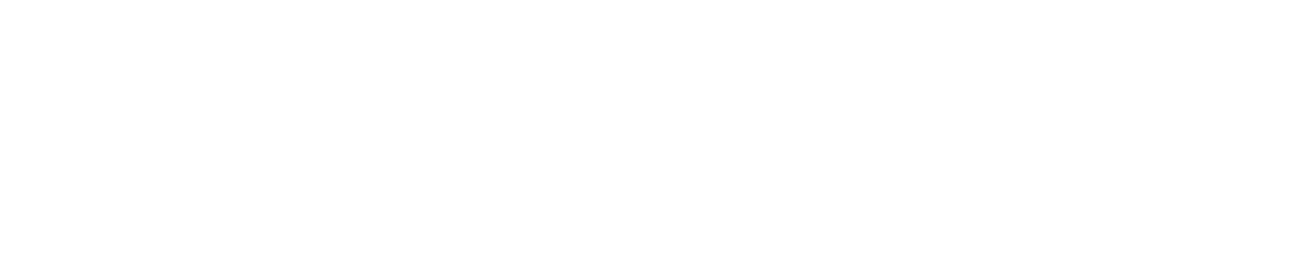 logo-02-white